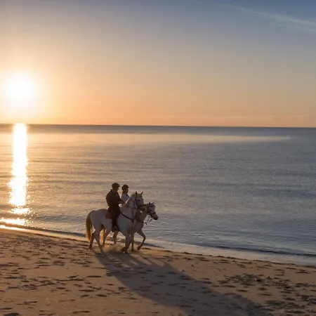 ヴィラ V18 Acquamarina *